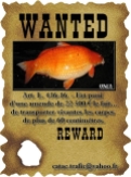 uncl_catac-wanted